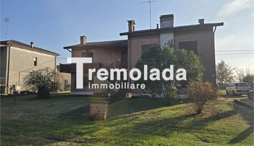 MASI TORELLO